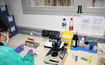 Test rápidos