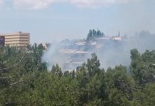 Incendio Pelusa