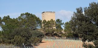 Torre en Graja de Iniesta
