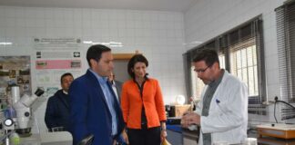 Investigadores del CIES de Quintanar publican dos artículos en revistas internacionales sobre el champiñón