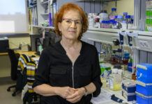 Margarita del Val