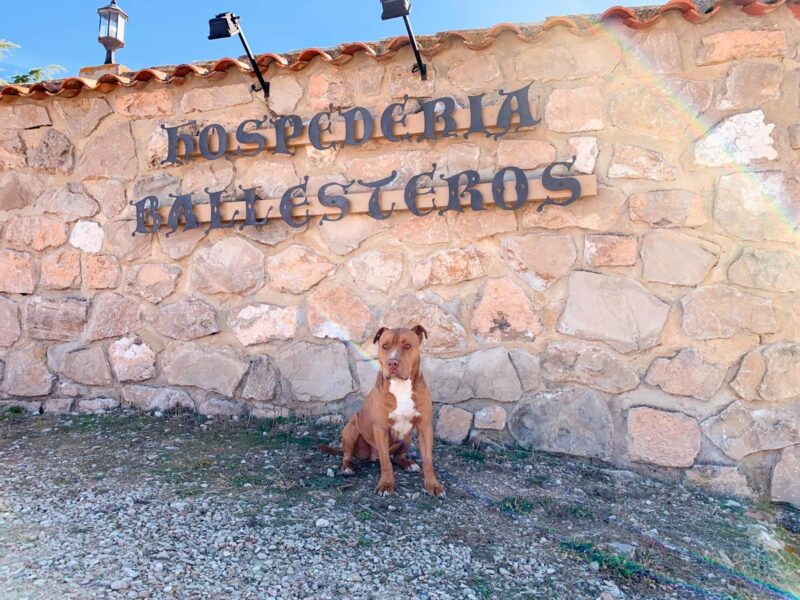 Escapada Canina en Cuenca