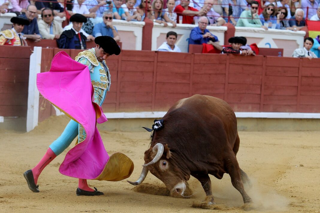 Así serán las corridas de toros y los encierros durante este verano en ...