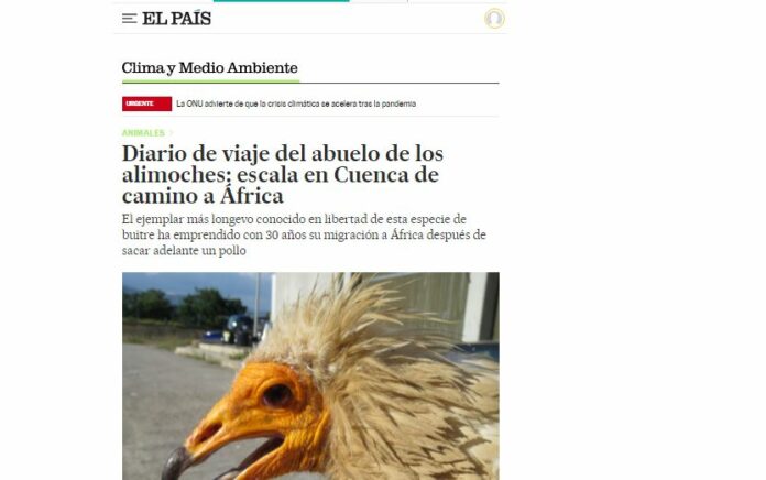 Captura El País