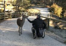 El Hosquillo, un parque accesible / IMAGEN: JCCM