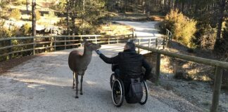 El Hosquillo, un parque accesible / IMAGEN: JCCM