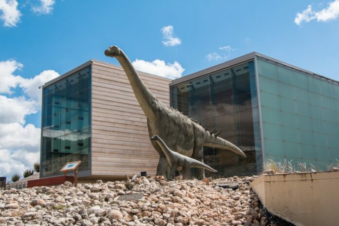 Museo Paleontológico de Cuenca