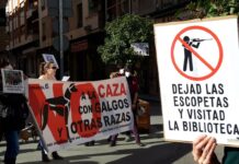 Manifestación Plataforma NAC en Cuenca