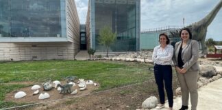 ana muñoz archivos - de Cuenca