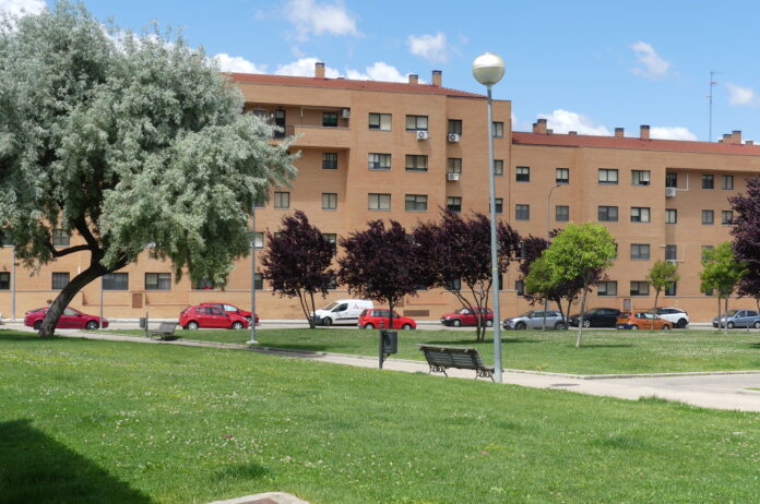 P1360780 (2)