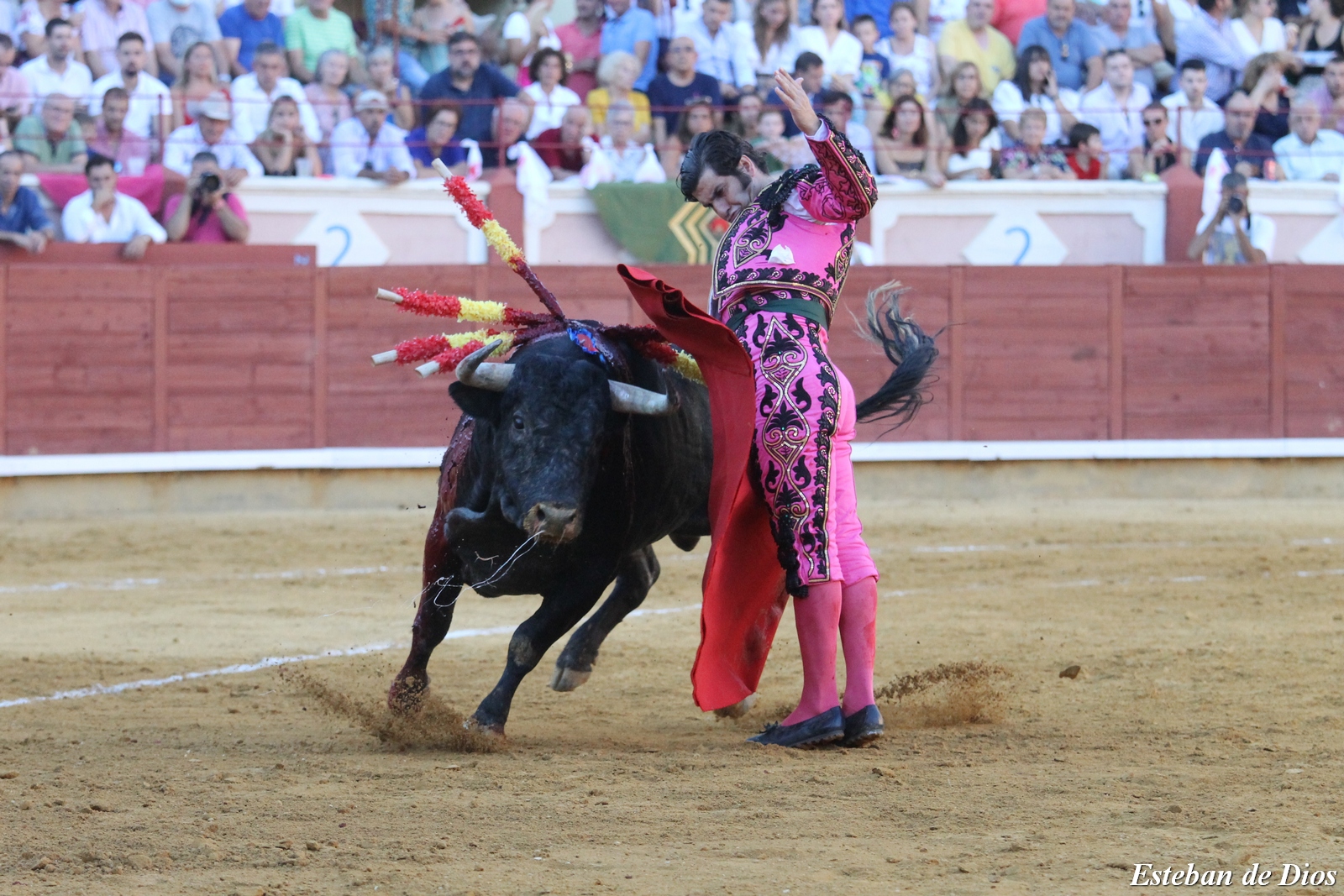 3º CORRIDA DE FERIA 2022 (69)