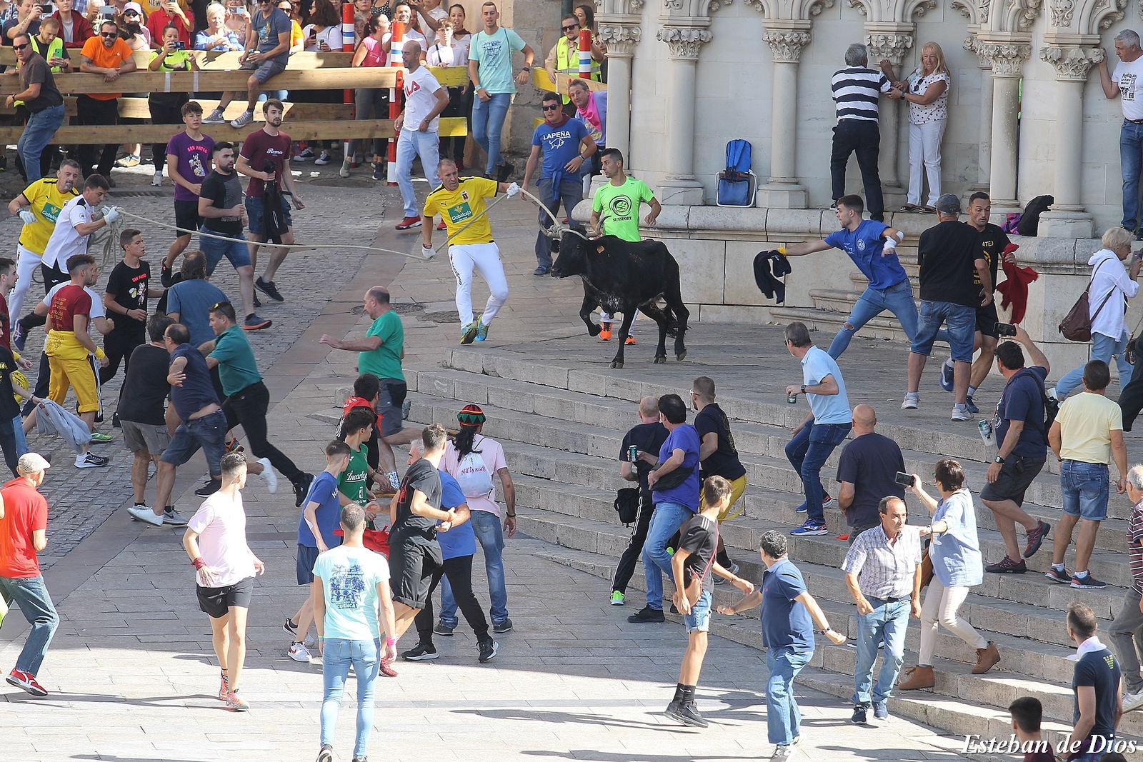 VAQUILLAS MATINALES 2022 (28)