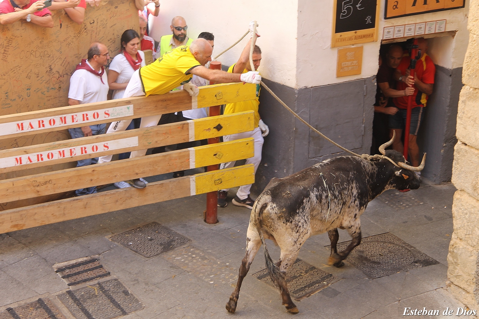 VAQUILLAS MATINALES 2022 (33)