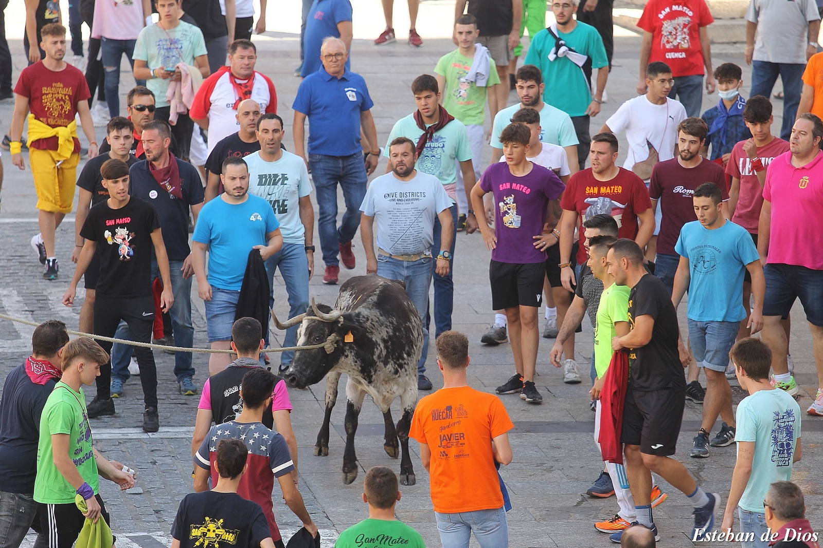 VAQUILLAS MATINALES 2022 (35)