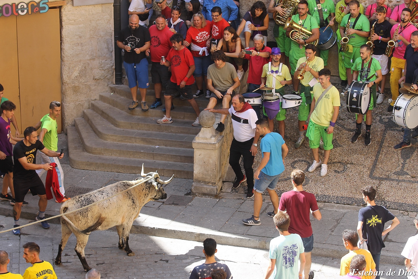 VAQUILLAS MATINALES 2022 (42)