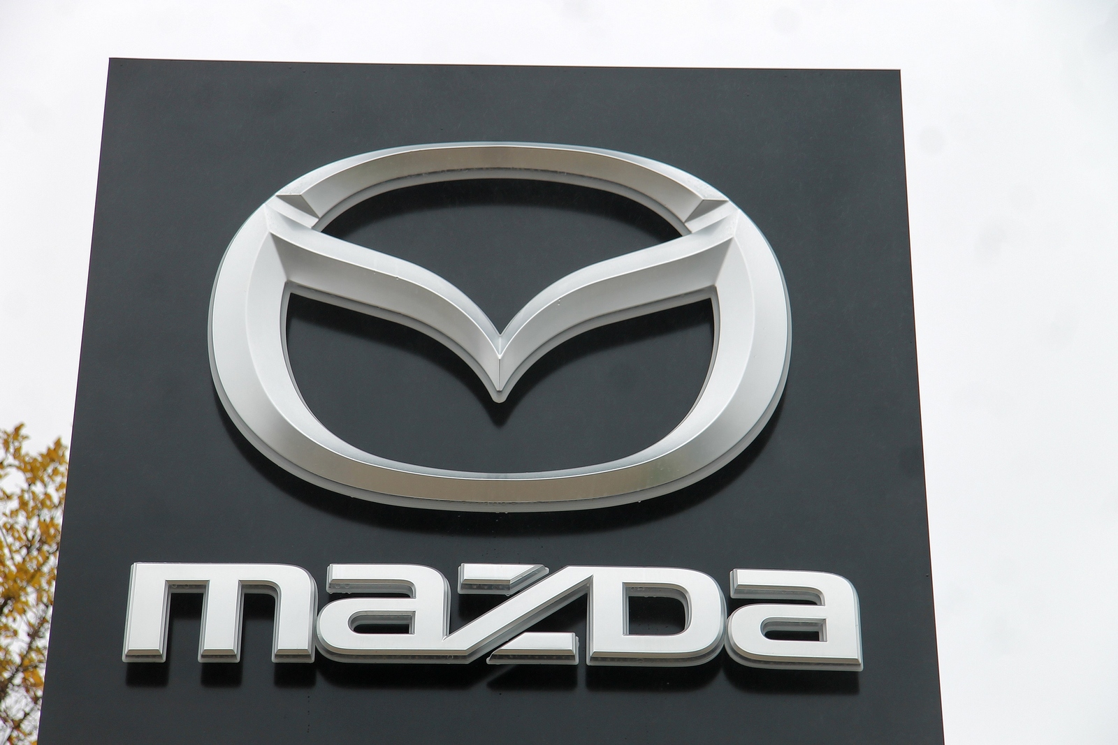 CONCESIONARIO MAZDA CUENCA (11)