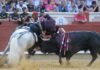 Cuenca, sede de uno de los cursos superiores de la Organización Colegial Veterinaria sobre espectáculos taurinos