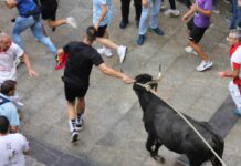 Cuenca se postula para acoger el Congreso Nacional de Toro de Cuerda en 2028