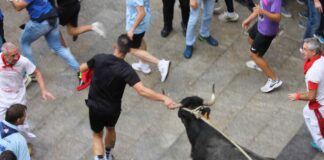 Cuenca se postula para acoger el Congreso Nacional de Toro de Cuerda en 2028