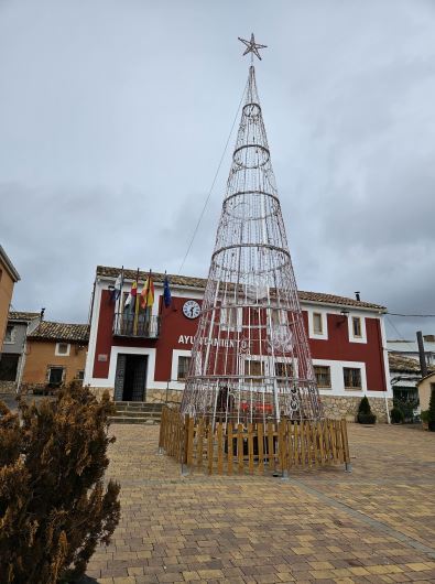 árbol jábaga