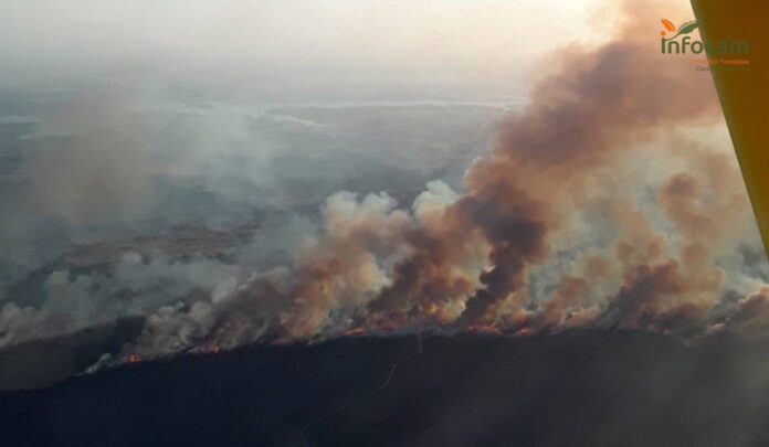 Imagen del incendio de Valverdejo