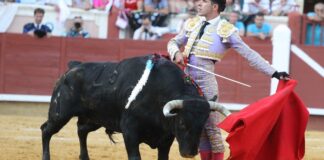 Instantáneas de la cuarta de Ferias