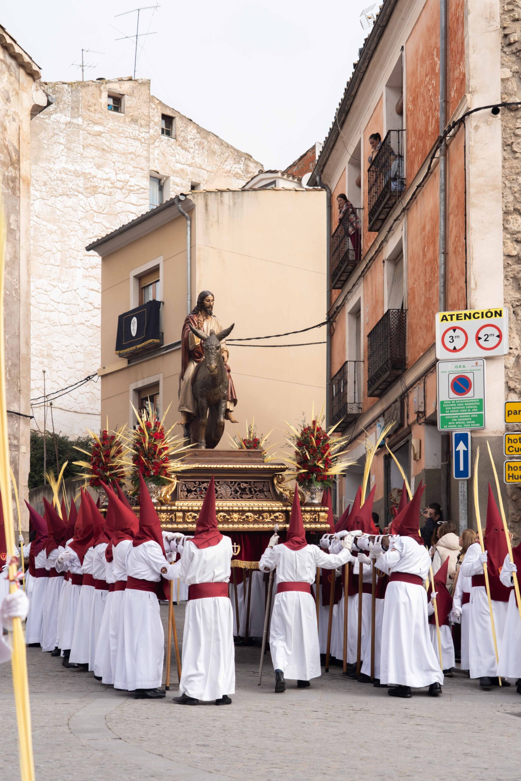 Domingo de Ramos041325_22