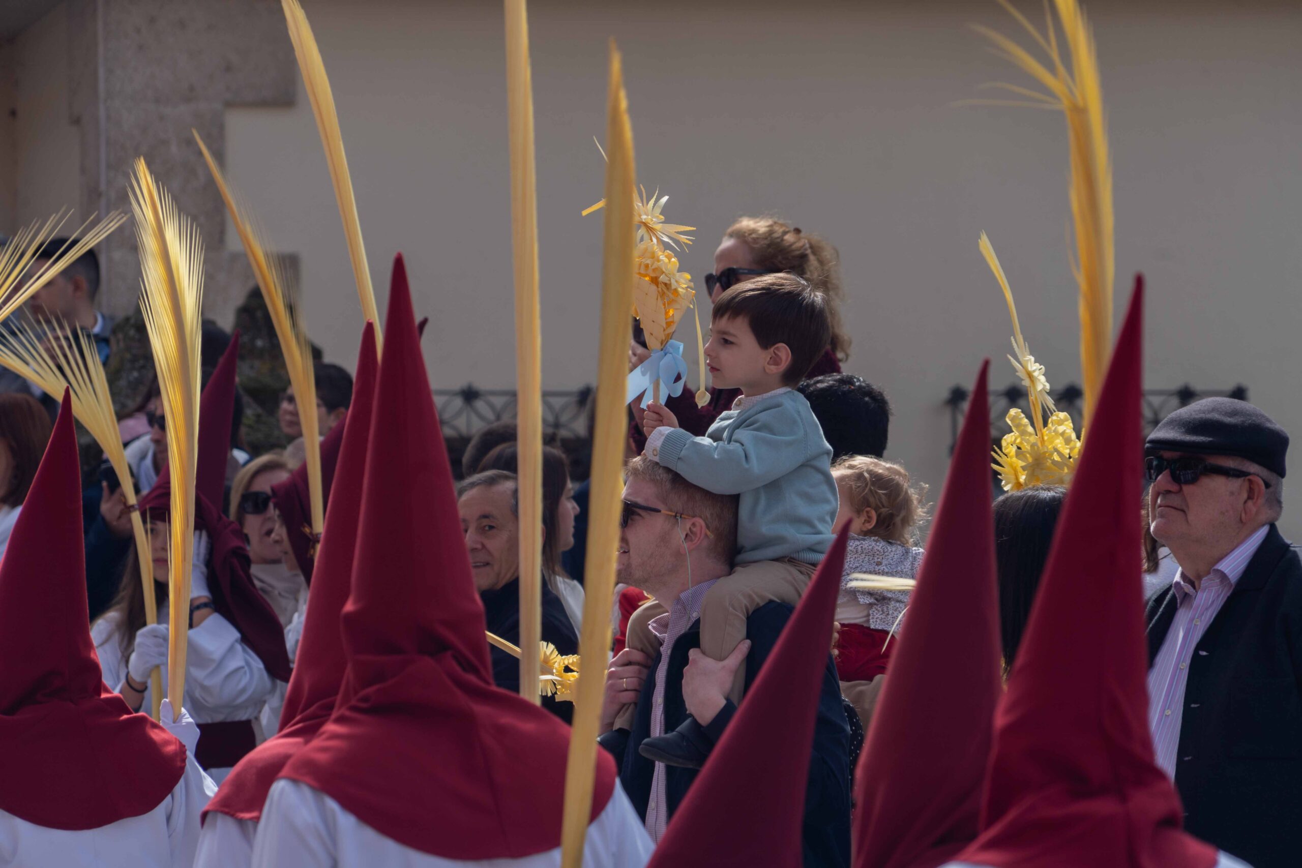 Domingo de Ramos041325_64