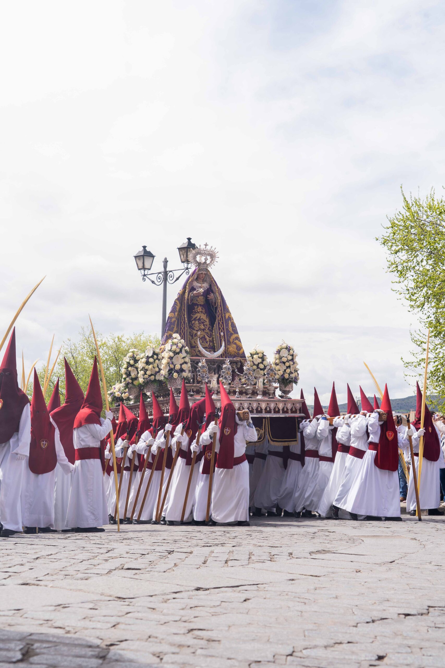 Domingo de Ramos041325_65