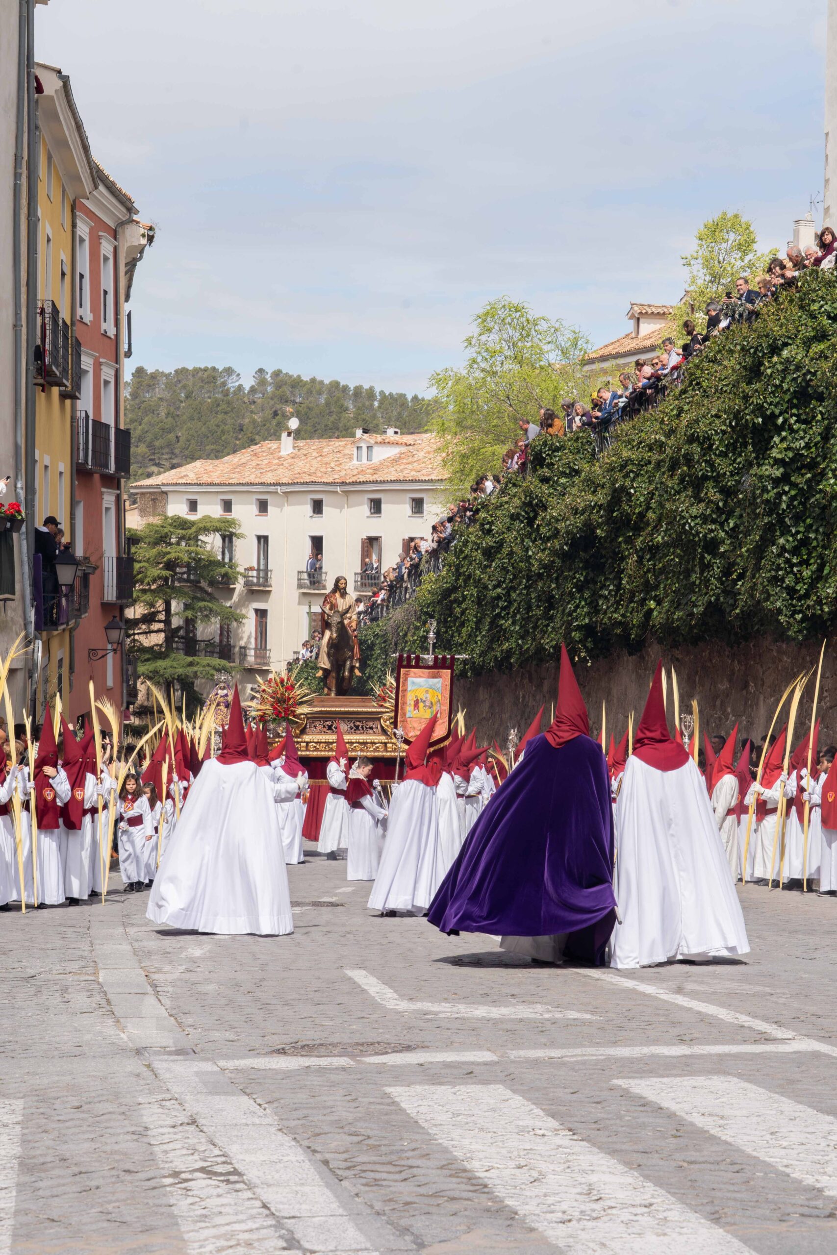 Domingo de Ramos041325_70