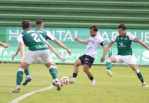 Cacereño-Conquense. Foto: Alfonso Fernández