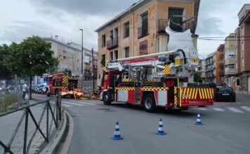 Incendio en el Paseo de San Antonio. Foto: Policía Local