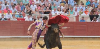 Fotos de Pablo Aguado, Fernando Adrián y Daniel Luque en Cuenca