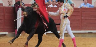 Las faenas de Marco Pérez, Talavante y Juan Ortega ante los astados de El Pilar, en imágenes