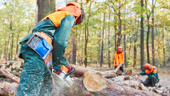 subproductos-forestales-1