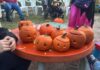 Tarancón celebra el Día de las Ánimas con búsqueda y decoración de calabazas
