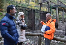El Hosquillo contará con una pasarela panorámica para avistar los osos sin sensación de jaula