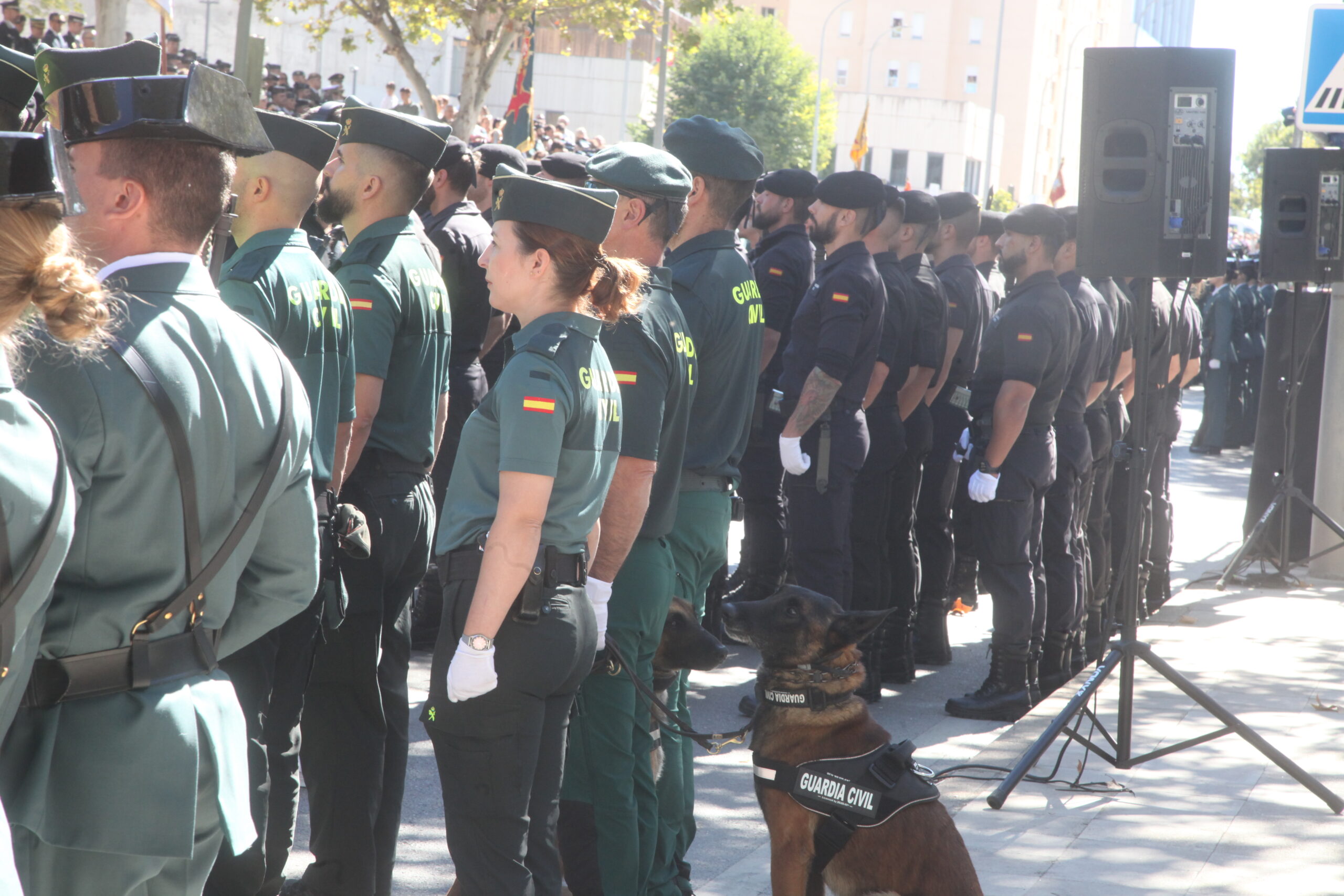 Más de 200 conquenses opositan este sábado a Guardia Civil