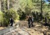 Charcas para la reproducción de anfibios en la Serranía de Cuenca