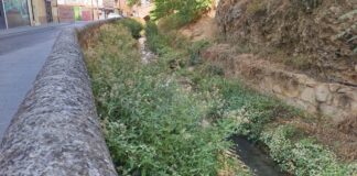 La limpieza exhaustiva de la ribera del río Huécar y el cauce del Júcar se hará previsiblemente en noviembre
