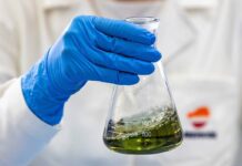 Nueve estaciones de servicio de Cuenca ofertan biodiésel