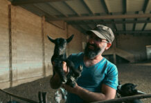 ‘La cabra tira al monte’, la única quesería de la Serranía con una raza en peligro de extinción