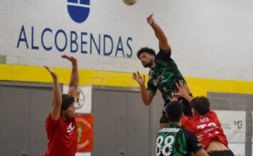 Una desahogada victoria ante el Alcobendas le da al Rebi el pase a la siguiente ronda de la Copa (23-36)