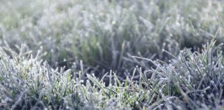 Previsiones: Cuenca y Ávila, capitales más gélidas de España el sábado con cuatro grados bajo cero