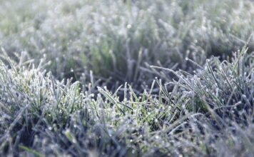 Previsiones: Cuenca y Ávila, capitales más gélidas de España el sábado con cuatro grados bajo cero