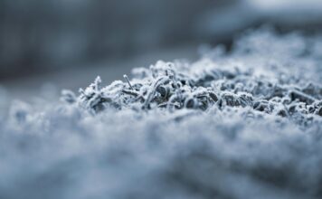 Mira amanece este sábado con la temperatura más baja de Castilla-La Mancha con -8ºC