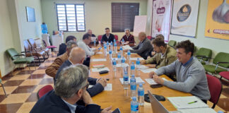 La Mesa del Ajo advierte de mermas en la producción de hasta el 40% por las elevadas temperaturas
