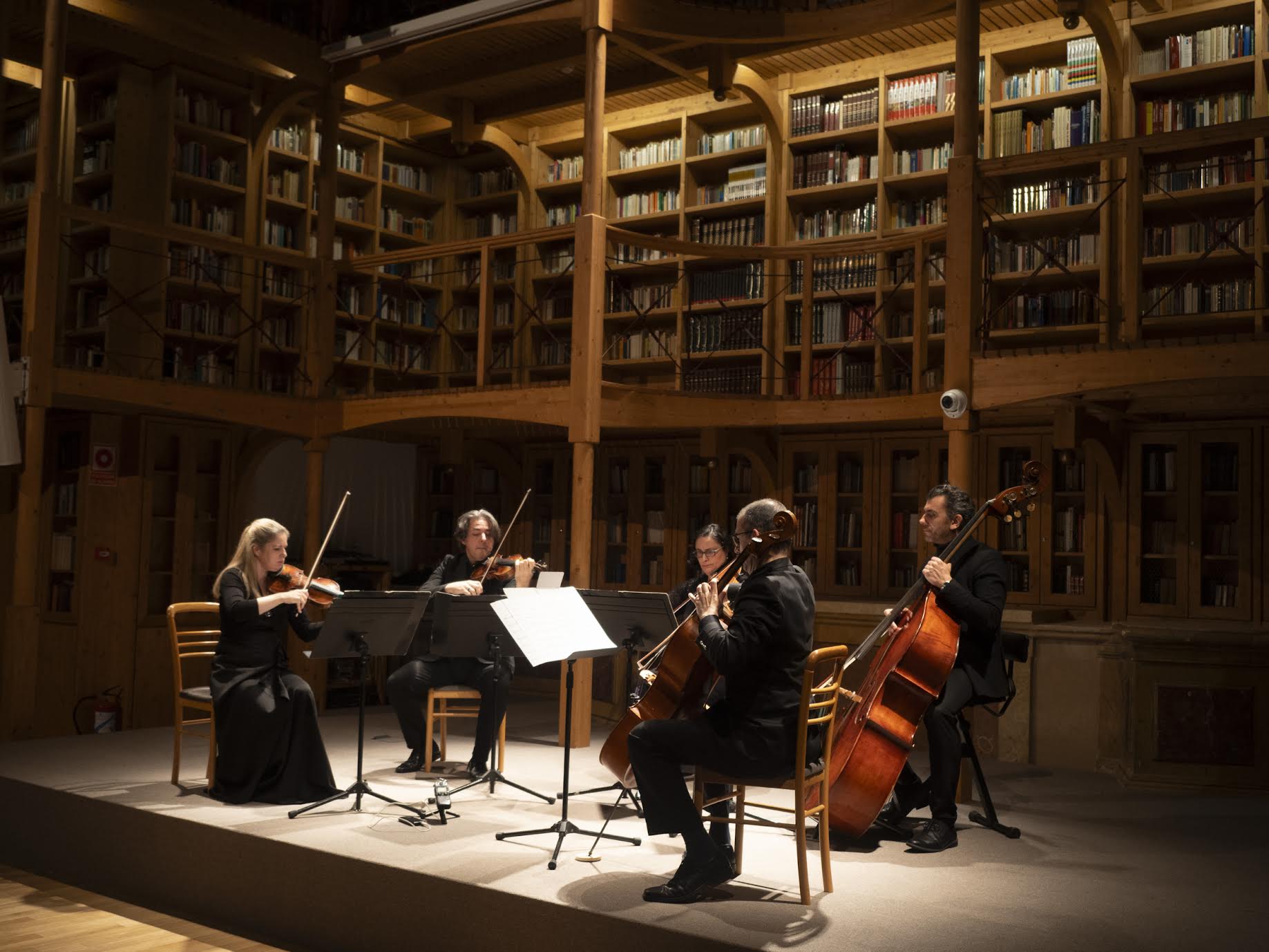Wiener Kammersymphonie abre el viaje hacia la Navidad con una mirada íntima y repleta de matices