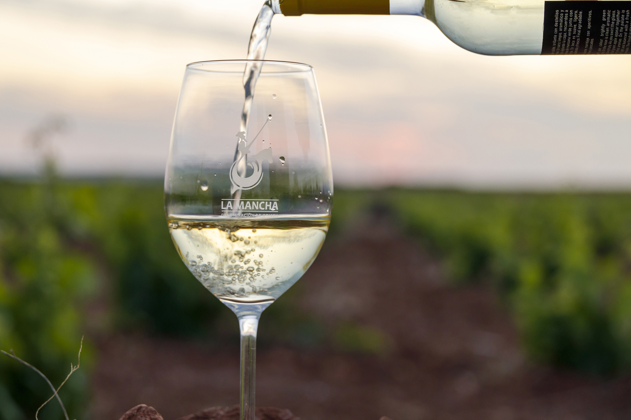 Satisfacción en la DO La Mancha tras la celebración del Día del Airén