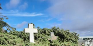 El viento arranca una decena de árboles y destroza parte del cementerio de Valverde de Júcar